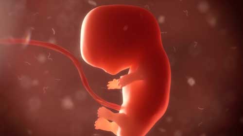 aborto nas primeiras semanas