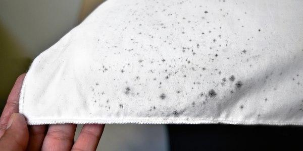 como tirar mofo e machas de roupa